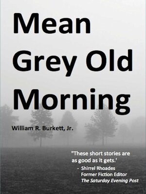 cover image of Mean Grey Old Morning